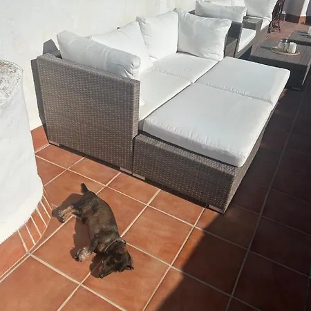 Mi Sitio
