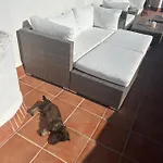 Mi Sitio